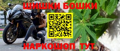 сатива Кунгур
