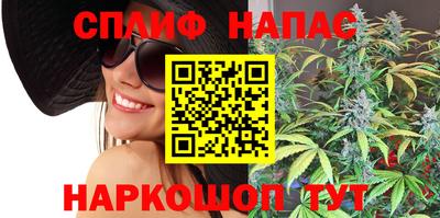сатива Кунгур