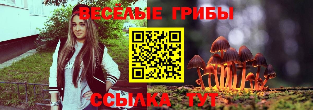 Галлюциногенные грибы GOLDEN TEACHER Ишимбай